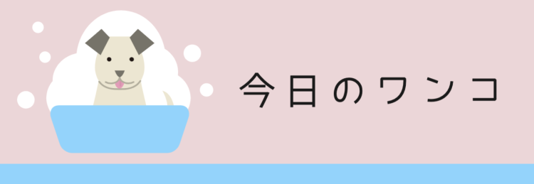 カワイイがいっぱい！ワンダーランド